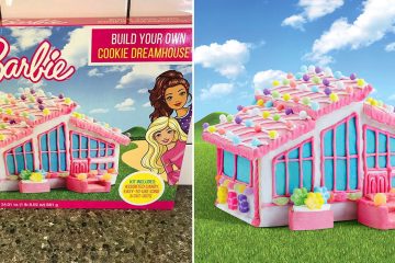 barbie cookie dreamhouse