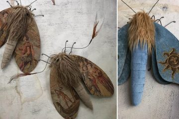 embroidered moths