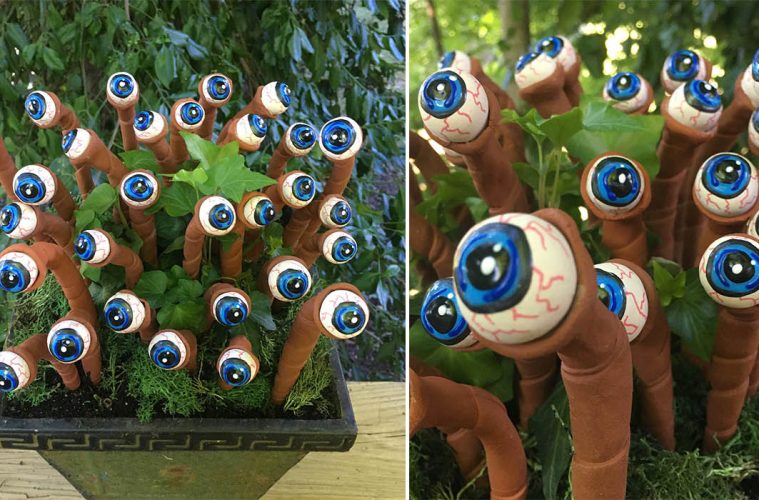 eyeball plants