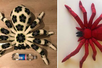 Giant Crochet spider