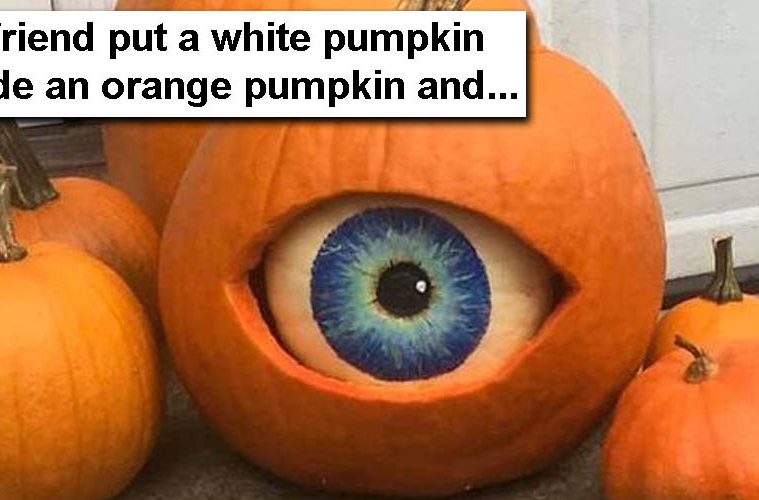 white pumpkin eye